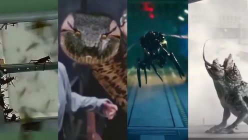 《大狂蜂：起源》灾难片十大怪物盘点：大狂蜂&噬铁蚁上演生化危机