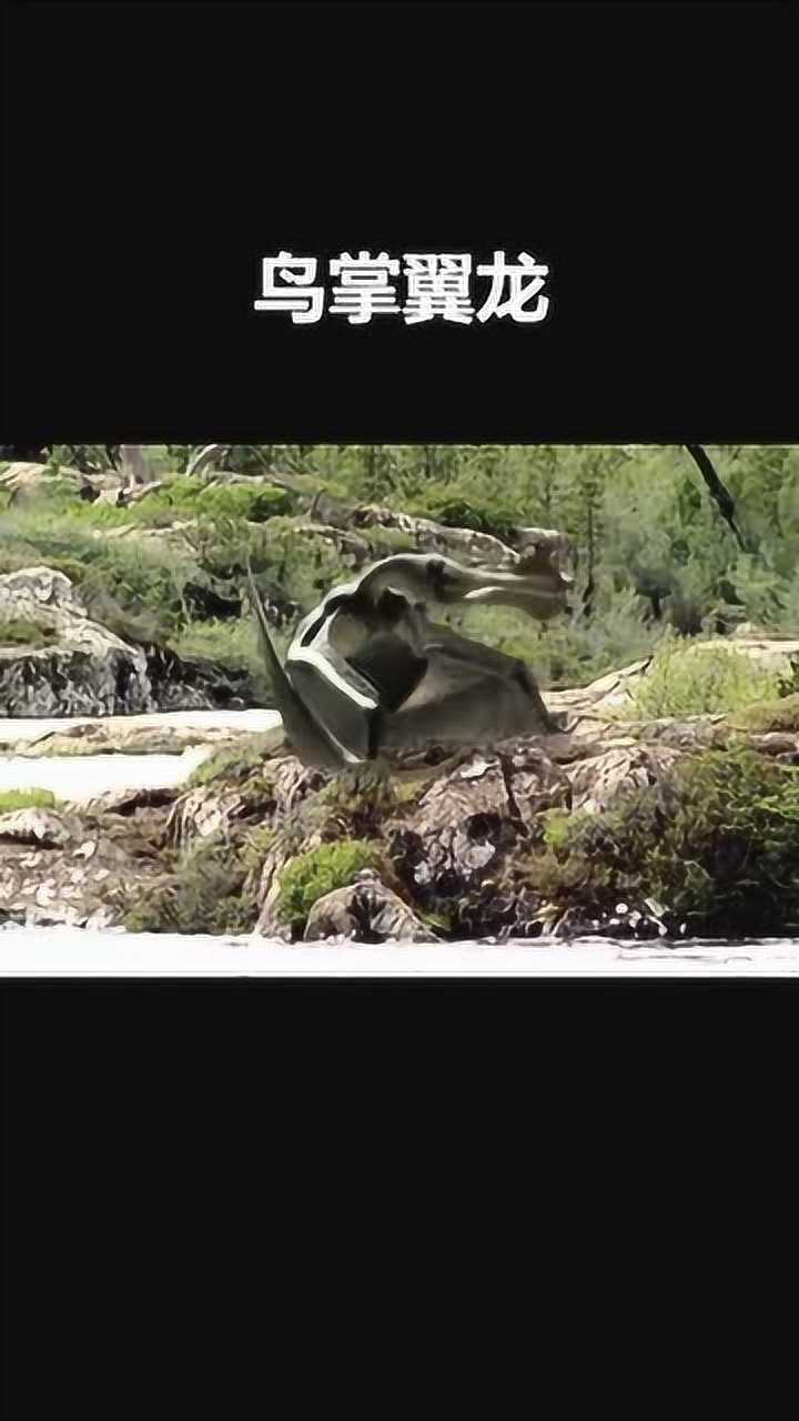 鸟掌翼龙生存于白垩纪早期的欧洲南美洲翼展约6米是种大型翼龙类