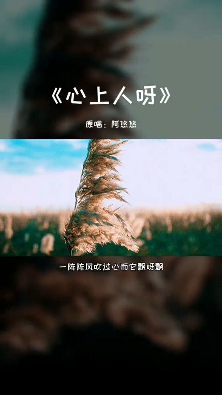我等的心上人为何还没有到你们等到了吗音乐