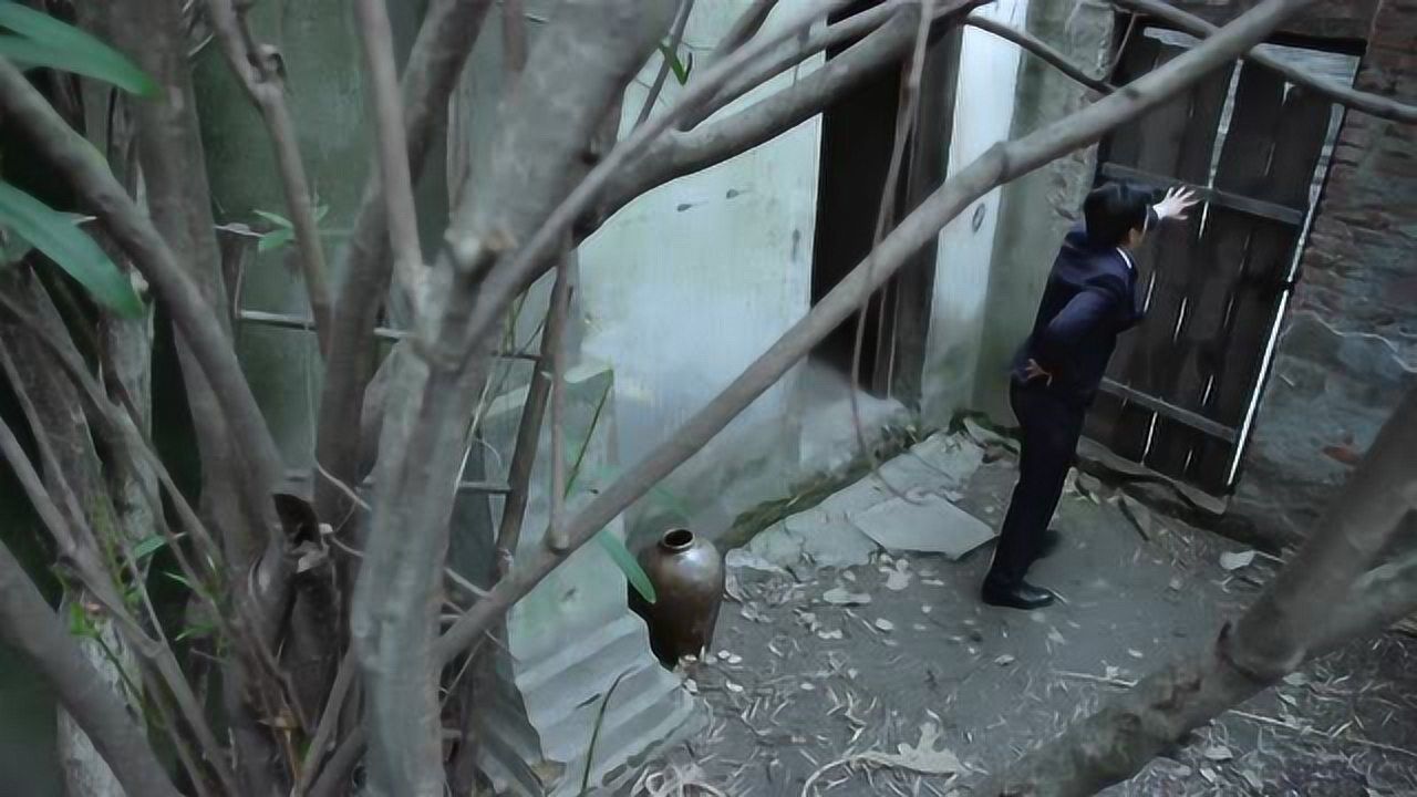 麻雀:男子受伤,惨兮兮,灰溜溜逃走