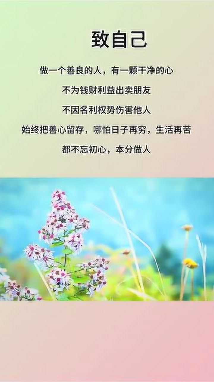 不为钱财利益出卖朋友不因利权伤害他人保持一颗干净的心