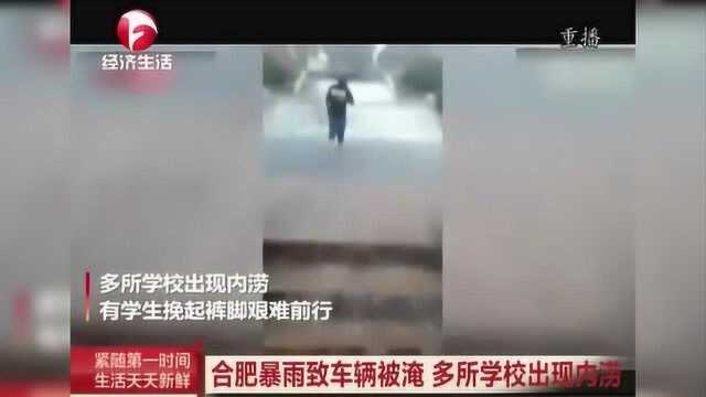 合肥暴雨致车辆被淹 多所学校出现内涝