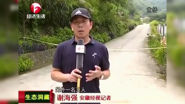 铜陵市发生一起矿山安全事故 2人死亡 1人失联