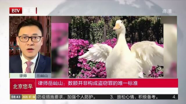 宠物鸭被偷法律如何界定?律师岳屾山:数额并非构成盗窃罪的唯一标准