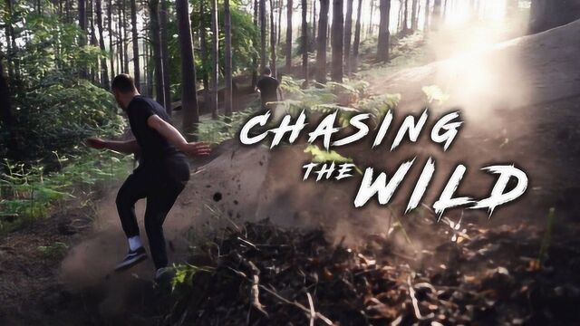 Chasing the Wild | Satori Media