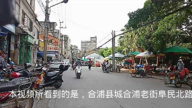 合浦老街阜民北路附近的,一间农友种子种苗经营店旁边的地方