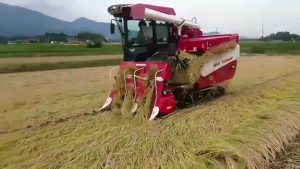 来见识下日本先进的水稻收割机倒伏水稻也能收割真是太牛了