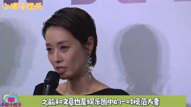 原来马伊琍不仅是一名演员,真实身份曝光,隐藏的太深了