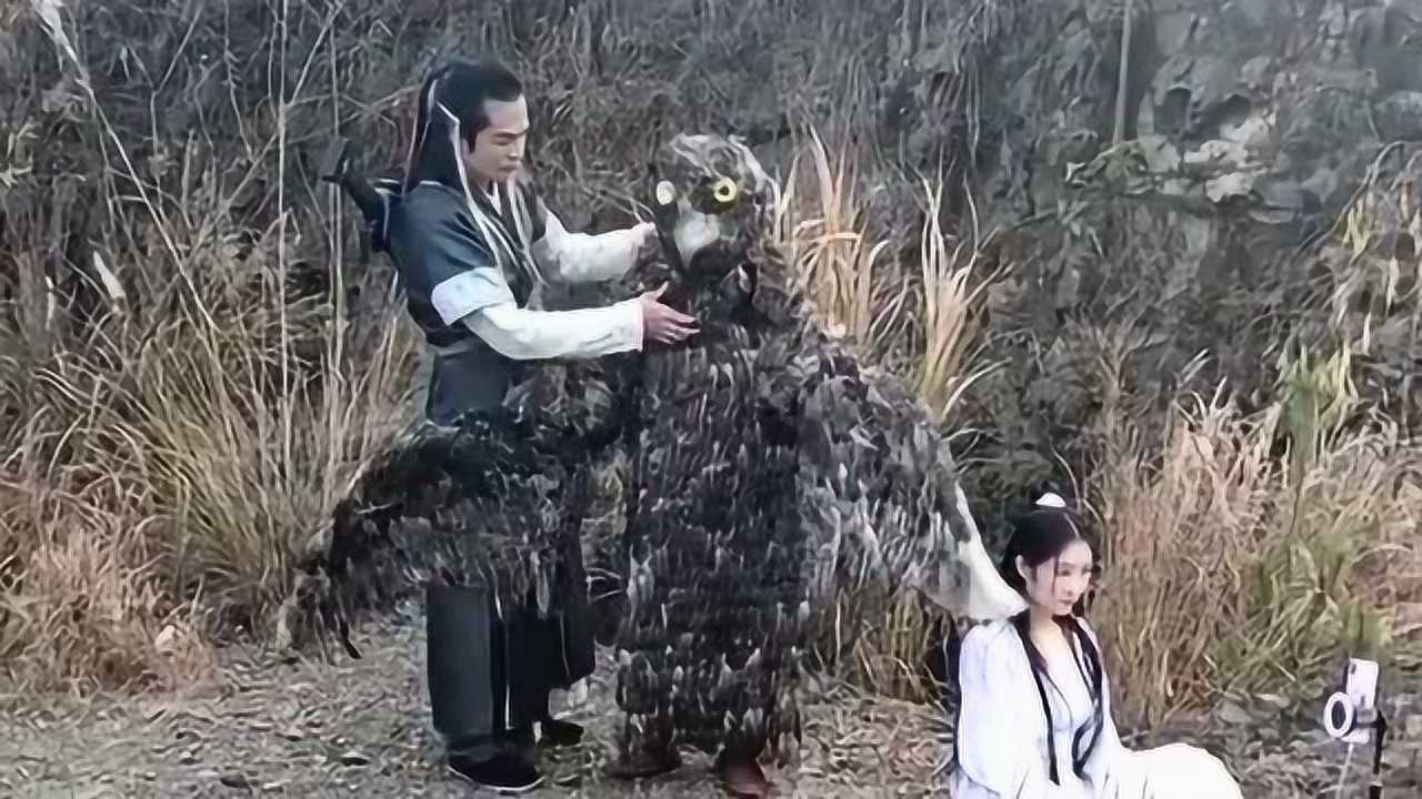 原来神雕侠侣里面的雕是这样的经过特效师的加工确实美化了好多