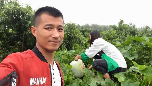 荣荣爬高处摘冬瓜,大庆看到忙去接着,结果没接好连人带瓜摔下来