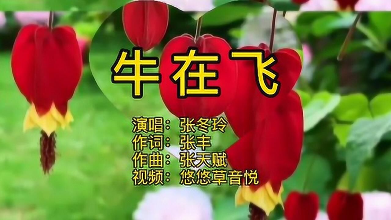 张冬玲《牛在飞》原唱,现在生活没有忧愁,一日三餐满嘴流油