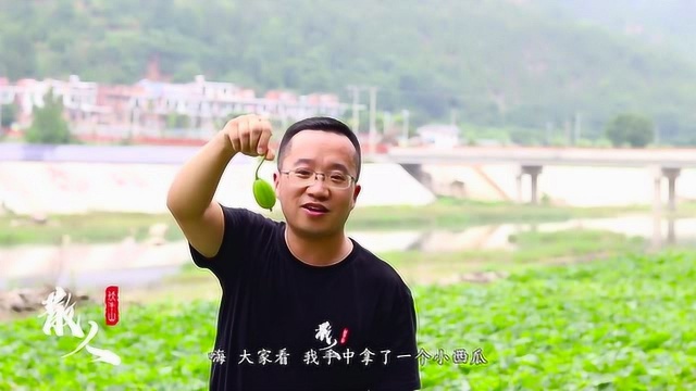 种瓜的瓜,种豆得豆!快乐生活每一天