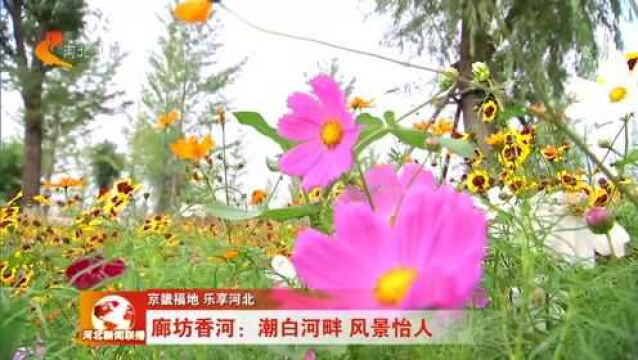 【京畿福地 乐享河北】廊坊香河:潮白河畔 风景宜人