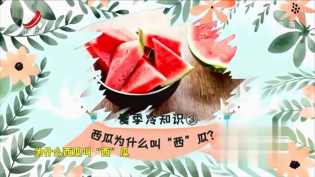 一个没有西瓜可乐冰淇淋的夏天,是一个没有灵魂的夏天