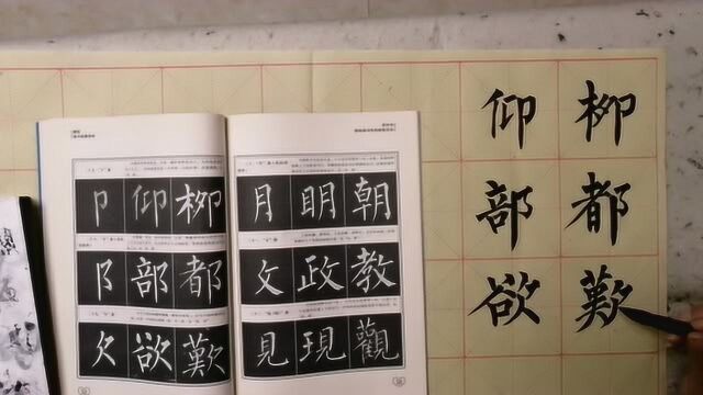 柳体楷书部首示范字例:仰、柳、部、都、欲、叹