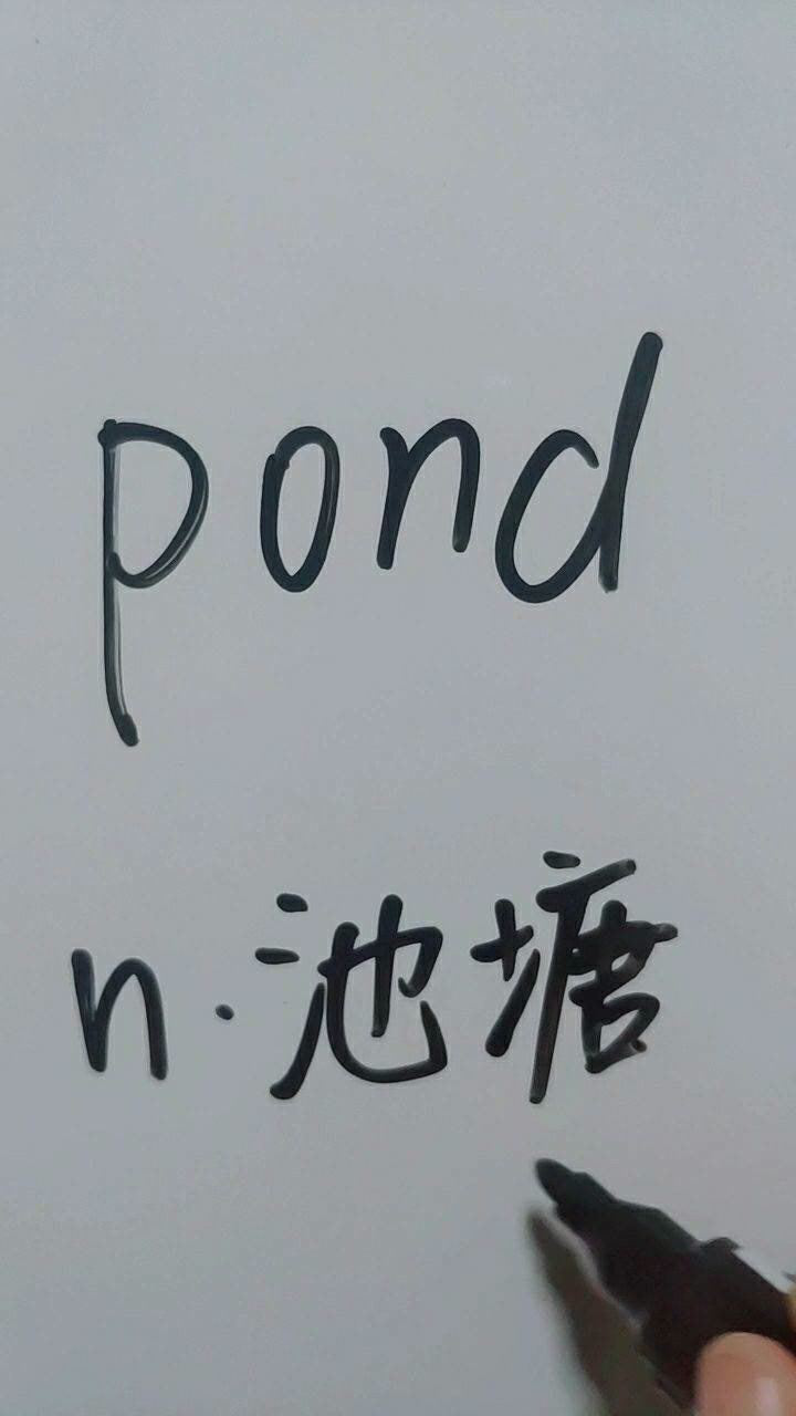pond是池塘一起读读