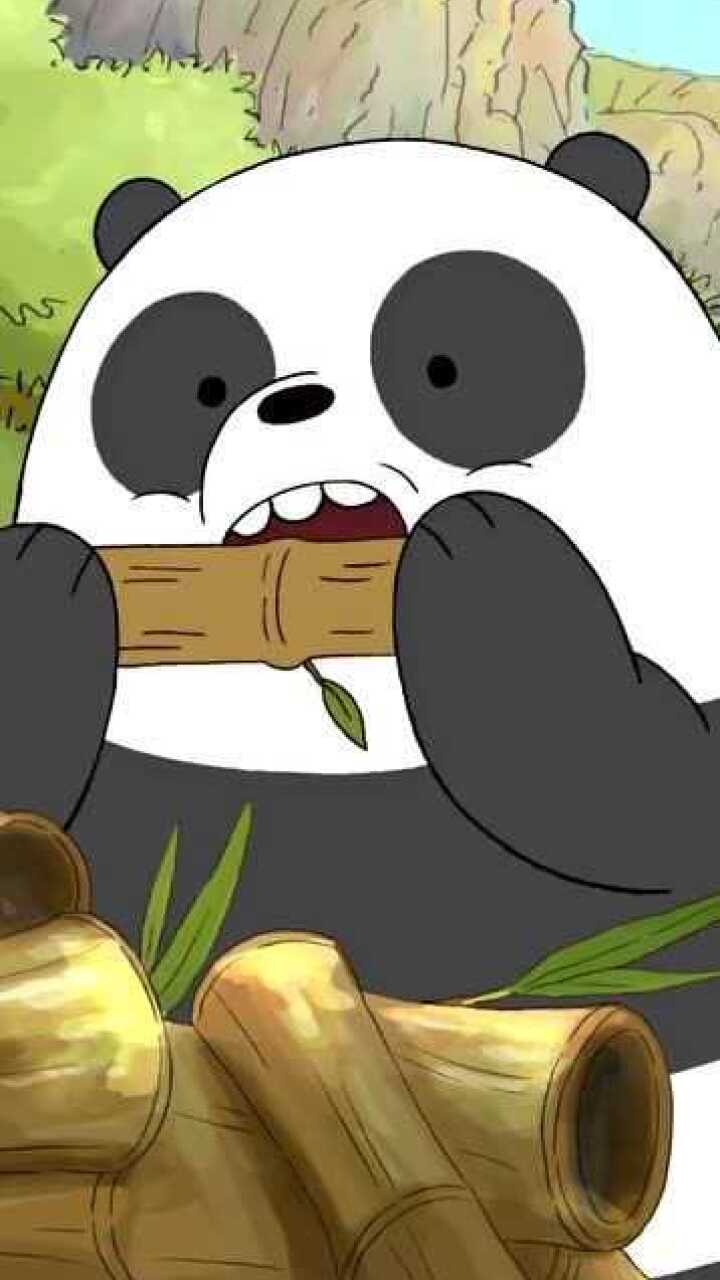 咱们裸熊可爱的胖达没有烦恼这样的生活你羡慕吗