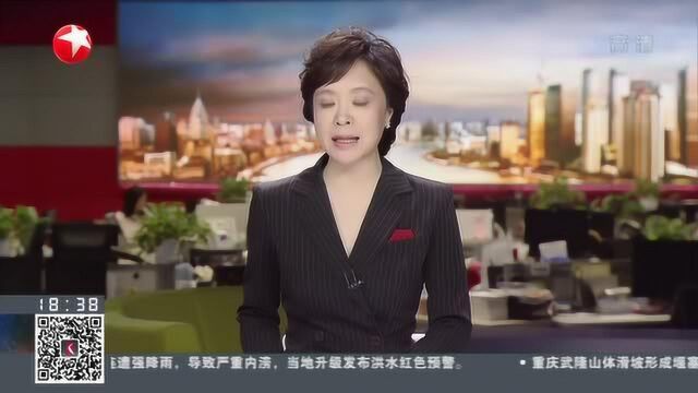 外资吸引力度不减 达索系统亚太总部将迁入上海