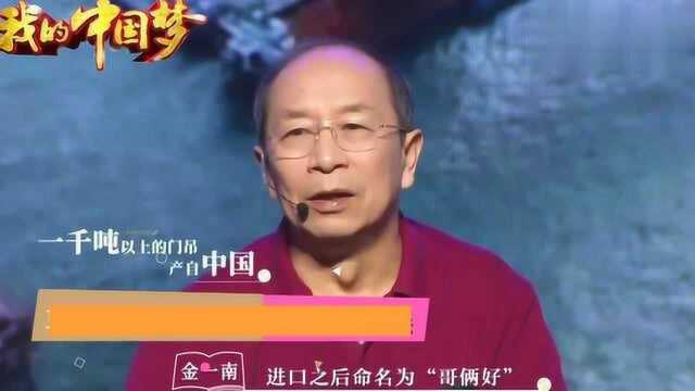 金一南:印度不远万里到别的国家买龙门吊,结果一看还是中国制作,傻了眼