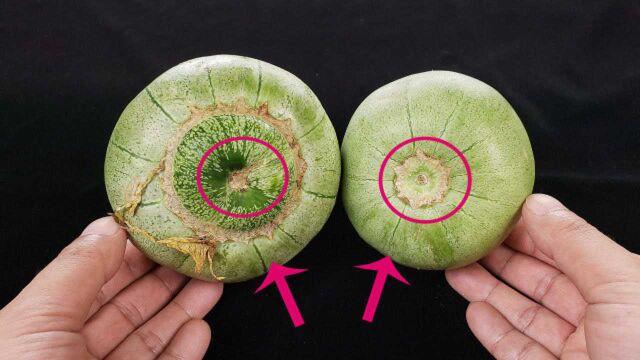 甜瓜甜不甜,牢记这个特点,保证一挑一个准,老瓜农方法太管用了