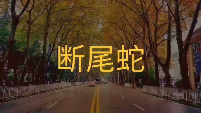 民间故事:断尾蛇