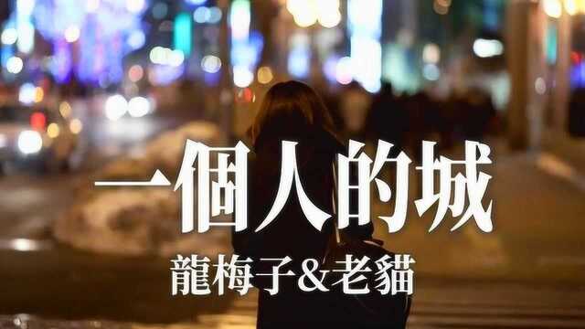 孤单的夜无法入梦,伤心看回忆凋零,黑夜里数着伤痕《一个人的城》