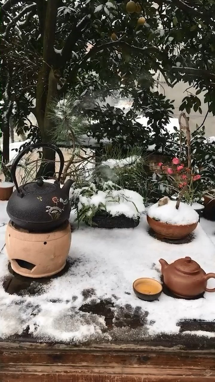 雪天赏梅喝茶,以雪煮茶.