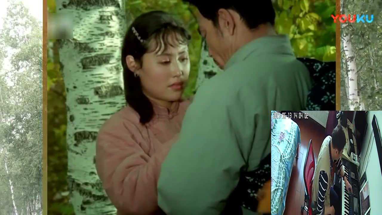 电子琴演奏雁南飞