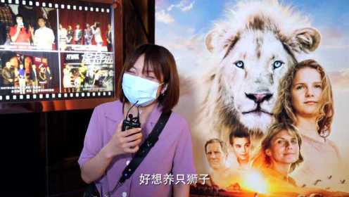 电影《白狮奇缘》热映获好评，引发“云撸狮”观影后遗症