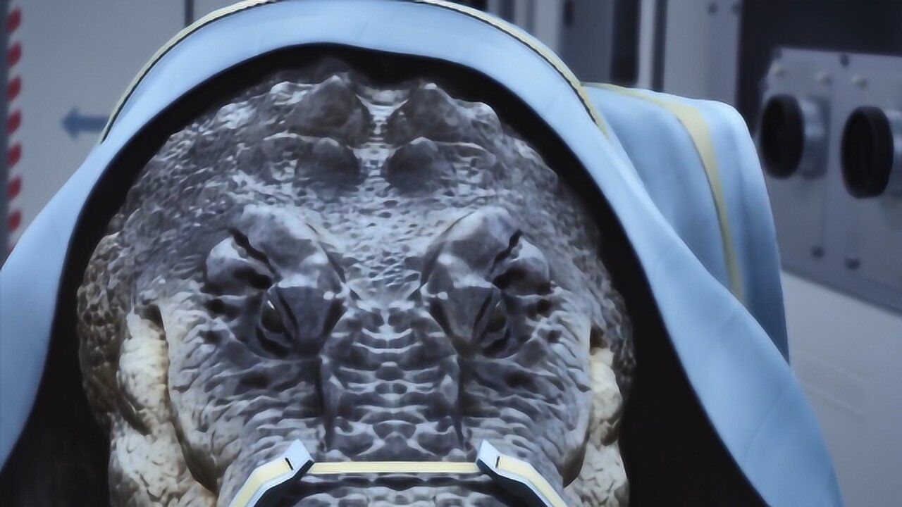 巨鳄战狂蟒:鳄鱼大战蟒蛇,打累了就用人类补充体能,太凶残了