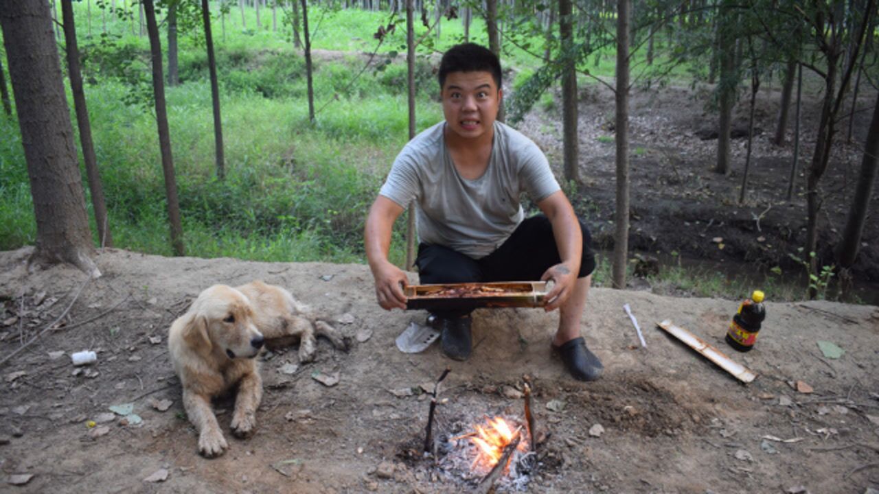 小雨野外用竹筒炖黑鱼四周都是弥漫着鱼香味可把金毛给馋坏了