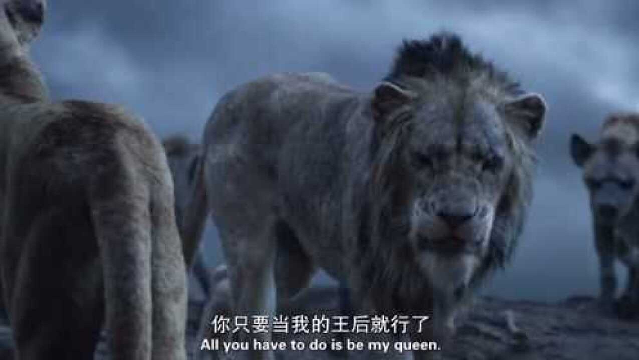 狮子王：刀疤和沙拉碧的意见想法分歧太大，于是打了起来！这时辛巴出现了_腾讯视频