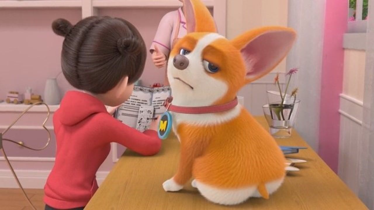 飞狗moco:小主人甜言蜜语,哄得老妈失去"原则"