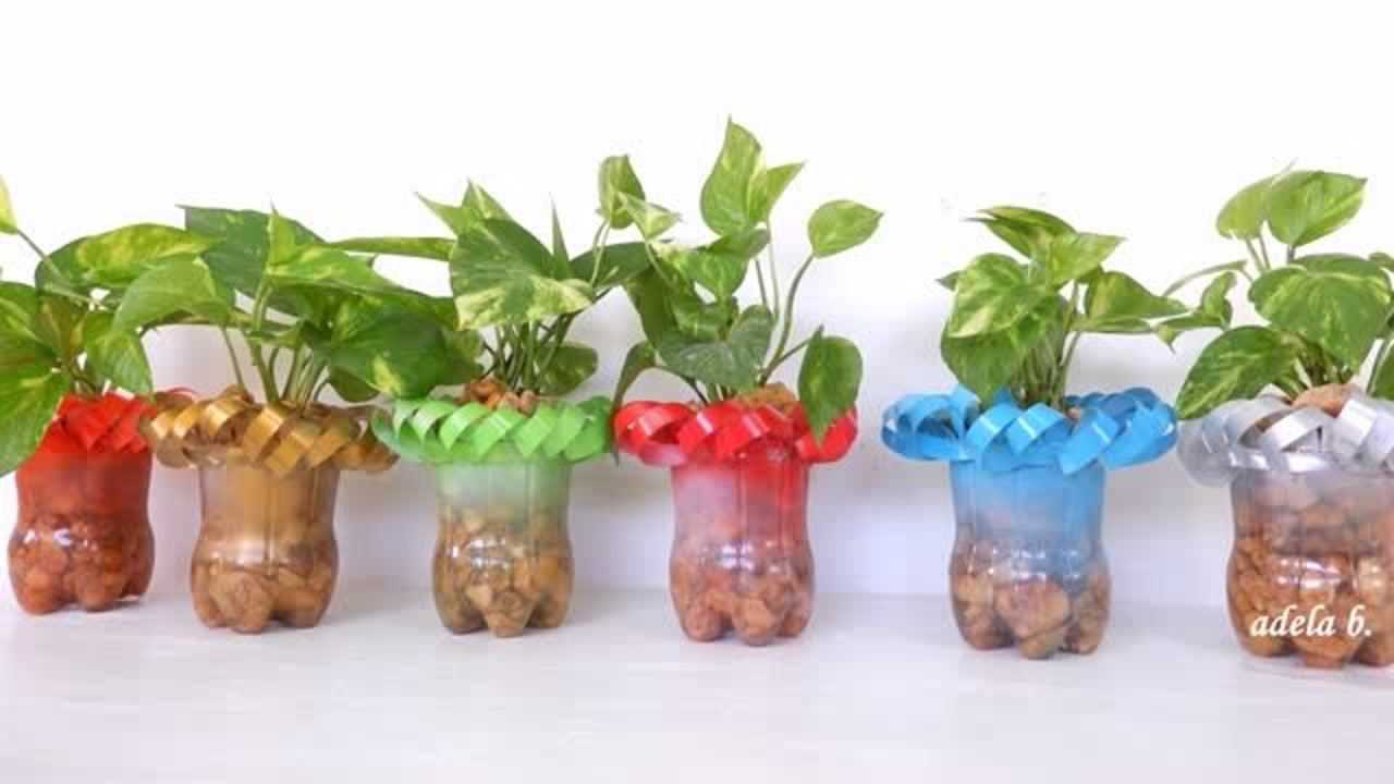 喝完可乐瓶子不要丢,简单diy一下水培绿植好看不花钱