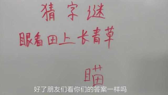 益智猜字谜:眼看田上长青草,猜一个字,多动脑子对身体好