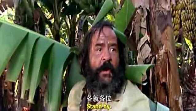 终于找到这个经典动图出处了,原来是一部经典搞笑老电影里面片段