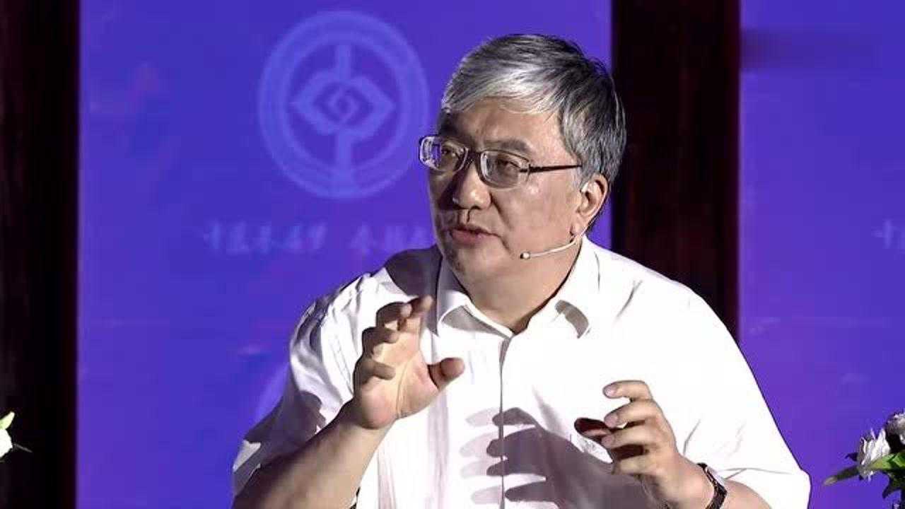 白岩松对话中医专家