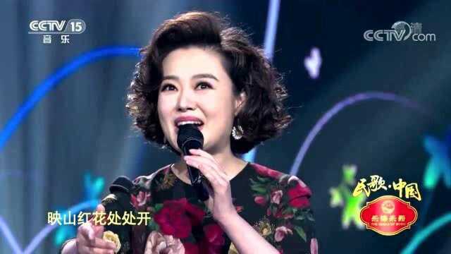 《我的家乡沂蒙山》演唱:王庆爽