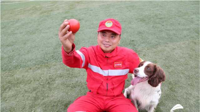 那只叫“天宝”的功勋犬走了……它将自己的一生献给了消防搜救事业