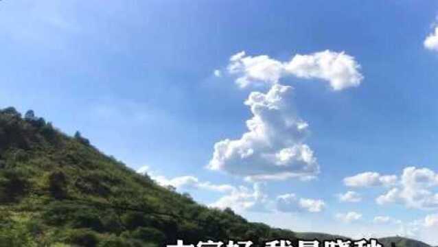 天空出现“奇云”,非常有意思,大家快来看像什么