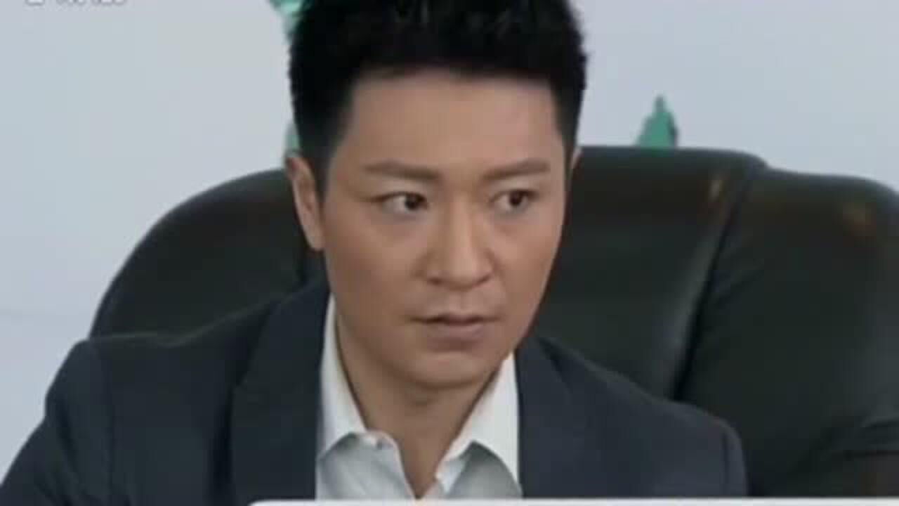 百万新娘之爱无悔英杰指责邵华绍华听后将文件摔到了英杰身上