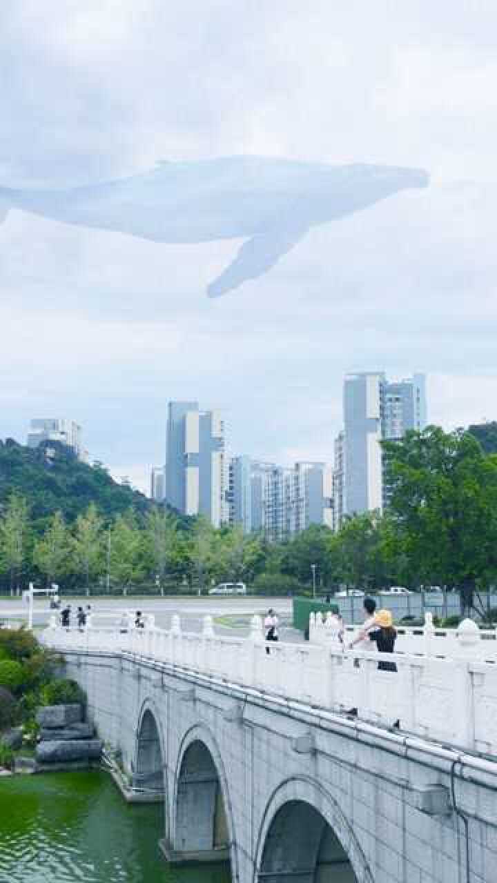 游在城市上空的鲸鱼