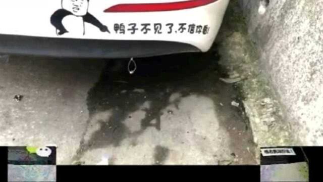 各种搞笑车标语!