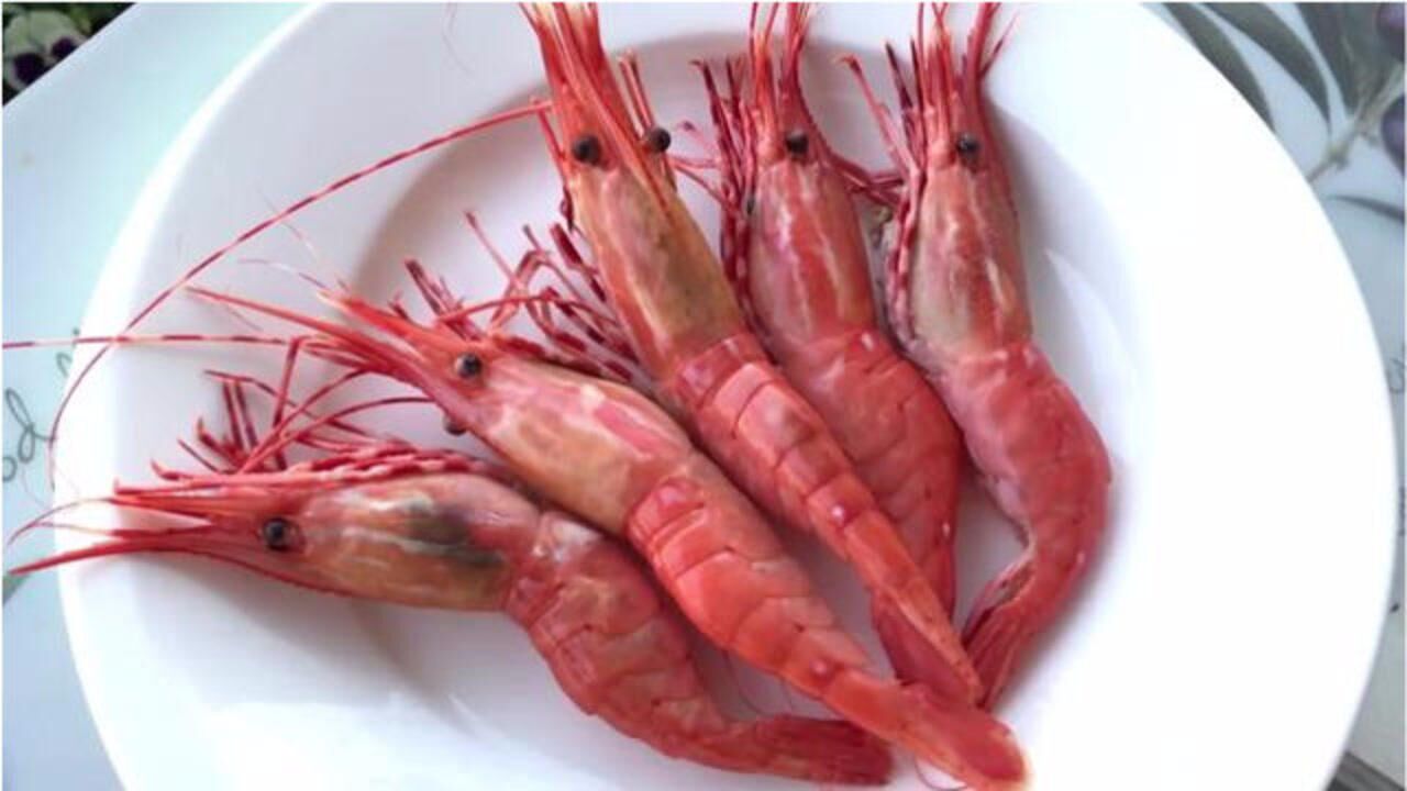 看看大厨怎么做,清蒸温哥华斑点虾,鲜美无比超好吃