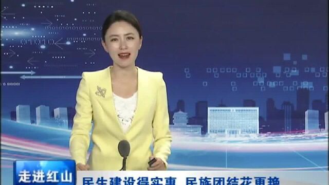 民生建设得实惠 民族团结花更艳