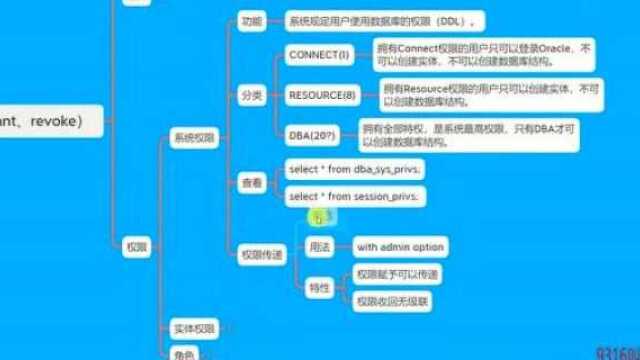 2249316讲授数据库基础权限级联功能介绍