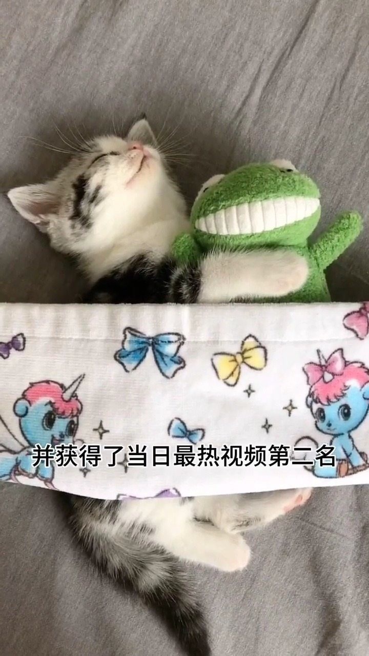 李哈哈小猫要离开说再见了