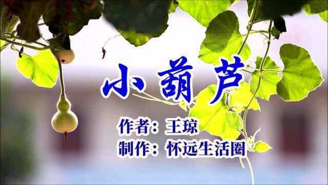 小葫芦(作者:王琼,制作:怀远生活圈)