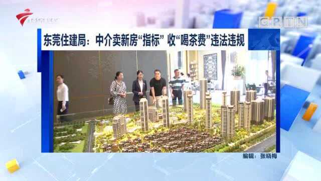 东莞住建局:中介卖新房“指标”收“喝茶费”违法违规