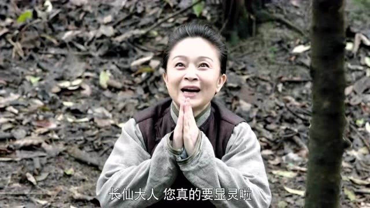 猎人:三仙姑市场买一筐蛇,去深山放生,谁料下一秒蛇仙现身